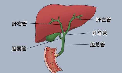 银杏叶颗粒评价网 - 银杏叶颗粒评价语怎么写,银杏叶颗粒的用法用量